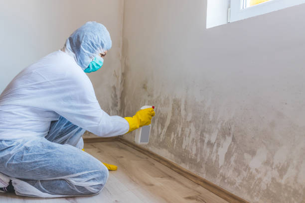 Licensed Commercial Mold Remediation service in Dysart, PA - WQB Mold Removal
