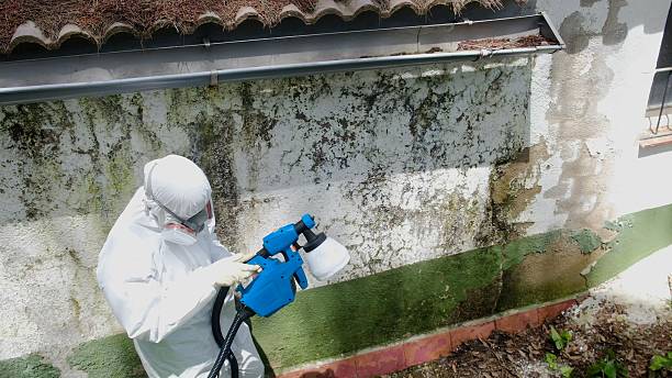 Top rated local Commercial Mold Remediation specialists in Dysart, PA